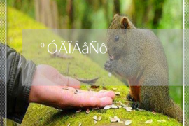 建始要账公司更多成功案例详情